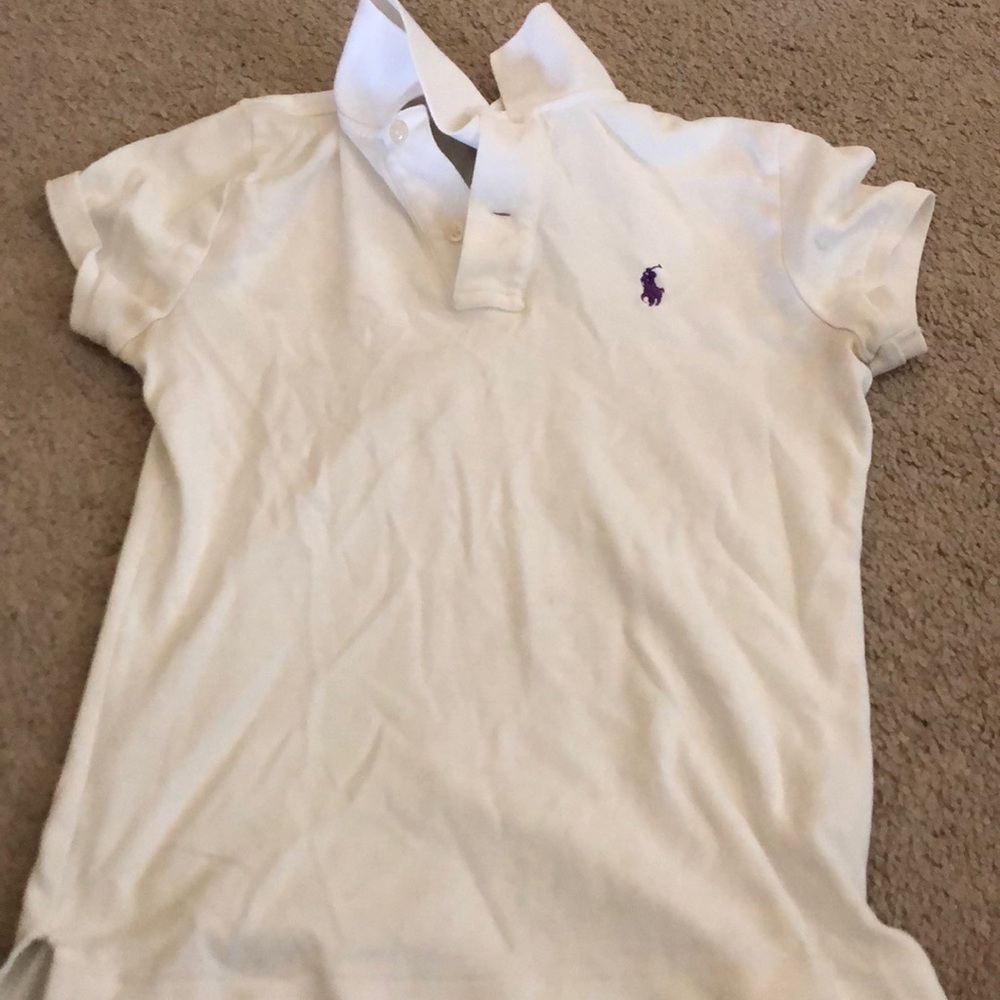 Polo collard shirt